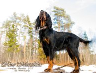 3bbddfa341919775235ae134ebefa662-full - копия.jpg 3bbddfa341919775235ae134ebefa662-full - копия.jpg