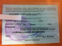 сайга.jpg