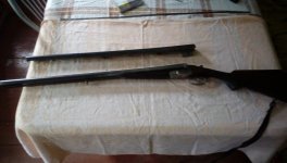 IMAG0429.jpg