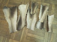 1 сент. 2017 006.jpg
