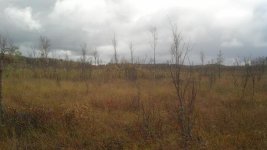 IMG_20171001_124902_355.jpg