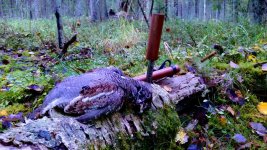 20171012_111459-EFFECTS.jpg 20171012_111459-EFFECTS.jpg