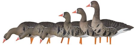 Avian-X-Speck-Full-Body-Goose-Decoys-1.jpg