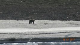 IMG-20170717-WA0006.jpg