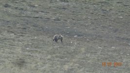 IMG-20170717-WA0007.jpg