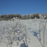 DSCN1788.jpg