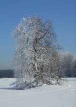 DSCN1793.JPG
