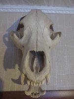 IMG_3064.jpg