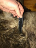 IMG-20180222-WA0036.jpg