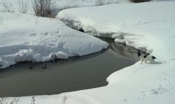 IMG_20180404_105646.jpg