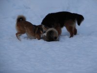 DSC07722.jpg