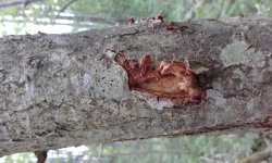20180608_140809.jpg