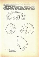 сканирование 2.jpg