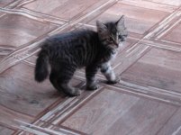 DSC07982.jpg