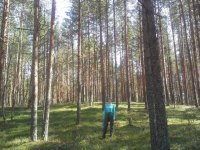 20180804_143810.jpg
