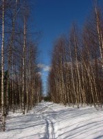 IMG_3032.jpg