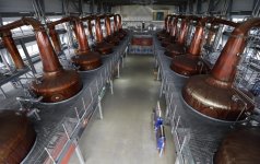 444329-copper-pot-stills-are-seen-at-the-diageo-roseisle-distillery-in-scotla.jpg