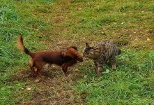 DSC01925.jpg
