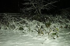DSC02130.jpg