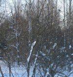 DSC07554.jpg