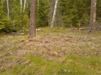 2018-06-05 08-35-10.jpg 2018-06-05 08-35-10.jpg