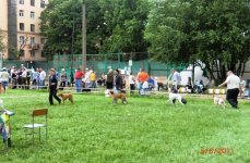 05 июня 2011 058.jpg