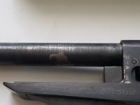 20190407_135549.jpg