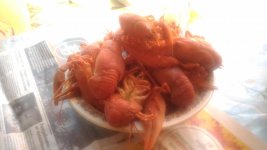 P_20180710_100514.jpg