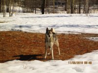IMG_6136.jpg IMG_6136.jpg