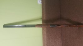 20190616_162423.jpg