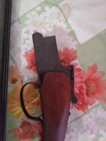 IMG-20190918-WA0004.jpg
