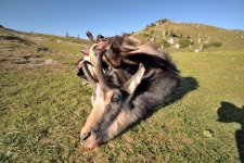 Velika_Planina_2019-10-27.jpg