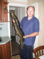 подвох2011 001.jpg