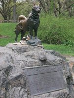 balto01.jpg