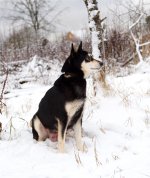 _DSC3142.jpg _DSC3142.jpg