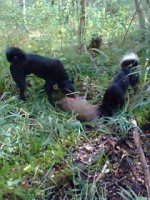 IMG-20200113-WA0009.jpg IMG-20200113-WA0009.jpg