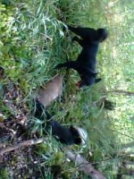 IMG-20200113-WA0004.jpg IMG-20200113-WA0004.jpg