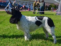 DSC_1087.jpg DSC_1087.jpg