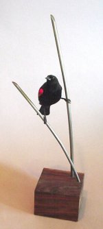 redwing_blackbird.jpg