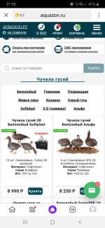Screenshot_20201202-215600_Yandex.jpg