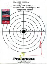 22LR-25m Стандарт лат.jpg