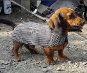 chain-mail.jpg