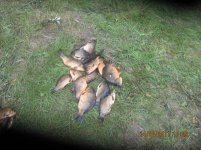 IMG_1152.jpg IMG_1152.jpg