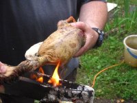 IMG_0811.jpg IMG_0811.jpg