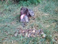 2011-08-20 13.59.24.jpg 2011-08-20 13.59.24.jpg