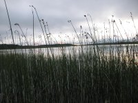 vuoksa 283.jpg vuoksa 283.jpg