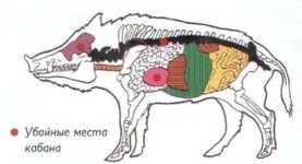 ubojnye-mesta-kabana.jpg