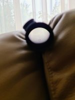 20221003_105655_2.jpg 20221003_105655_2.jpg