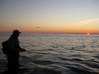IMG_2025.JPG IMG_2025.JPG