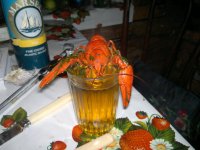 03092011315.jpg 03092011315.jpg